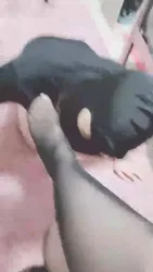 黑丝上课