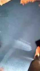 调教贱狗 推荐