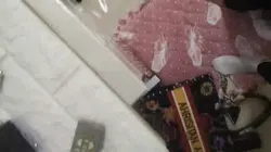 双主调教脚奴