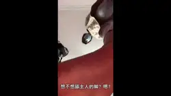 第一人称羞辱贱货滚进来跪着听1