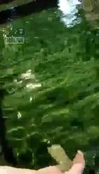 户外泡汤 舔脚 深喉