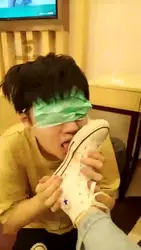 高清 第一次尝试的狗狗
