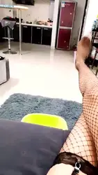 把邻居变成狗