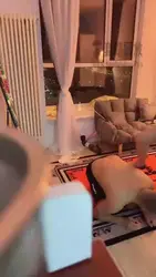 鞭打踢狗头