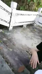 芷晴 户外 戏弄开发视频粉丝