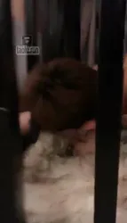 互动调教