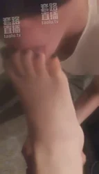 广州的狗狗八个月
