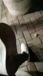 第一次直播深夜户外遇狗