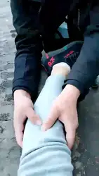 狗子户外伺候