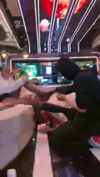 狗子们的幸福时光
